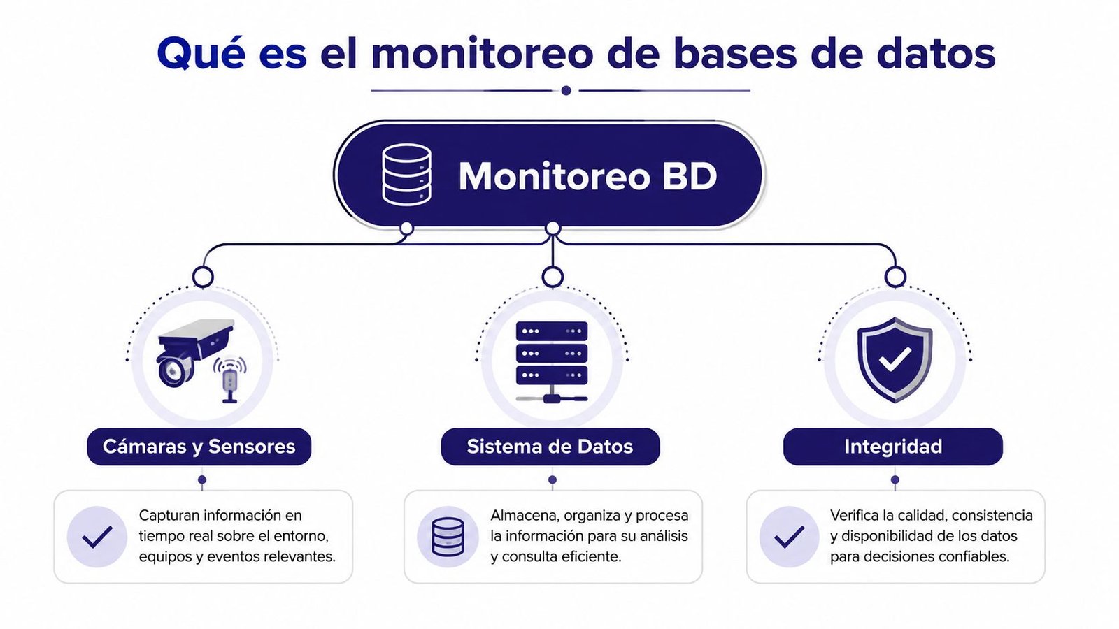 Infografía que explica el monitoreo de bases de datos mediante cámaras, sistemas de datos e integridad.