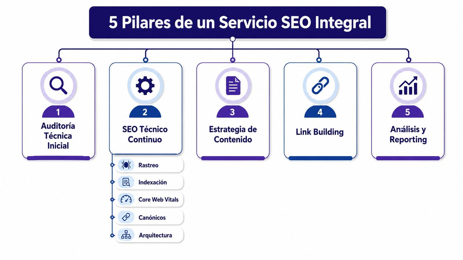 Infografía que detalla los cinco pilares fundamentales para un servicio de posicionamiento web integral y profesional.
